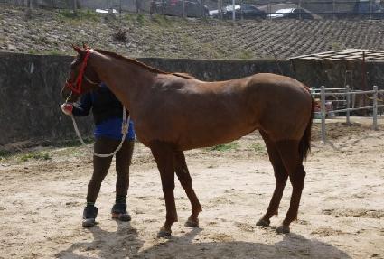 ��µ����� ����