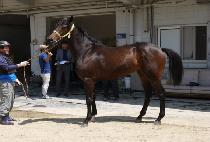 GEUMAK YEOJE picture