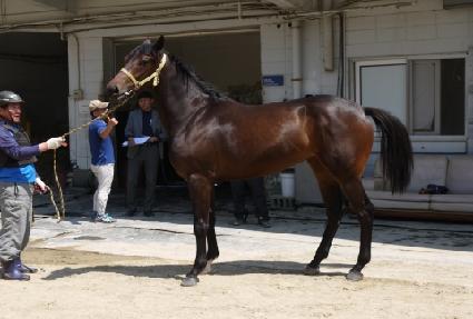 �ݾǿ��� ����