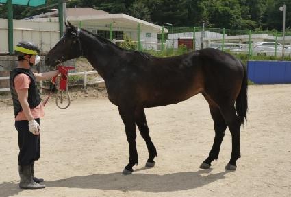 ť�ǵ��ö�� ����