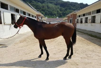 �̸�ĭ ����