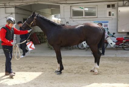 ���̾ ����