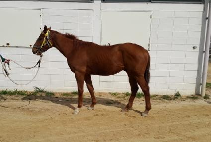 �ٿ���ڸ��� ����