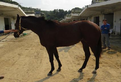 ������ ����