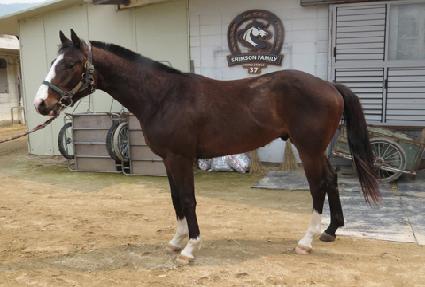 ����� ����