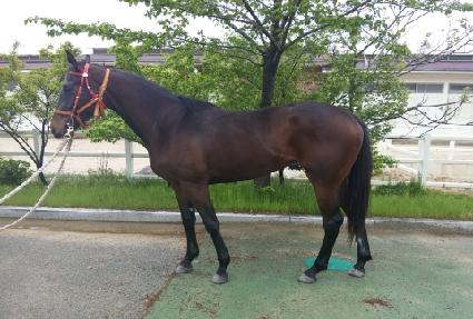 ���̽����� ����