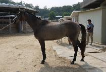 ȭ��Ʈ��ġ (WHITE PUNCH) ����