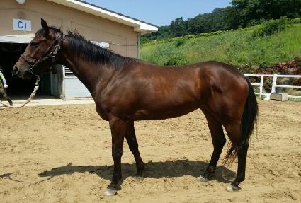 �������̽� ����