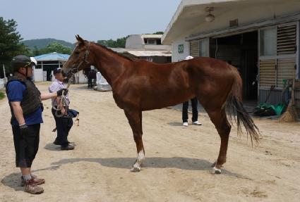 ���緹�̵� ����