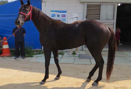 ����Ʈ������ ����