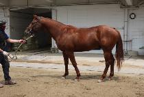 �����Ǹ��� (BULHUUI MYEONGGOG) ����