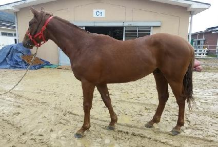 �Ƶ������� ����