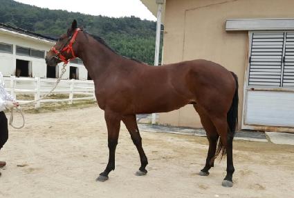 ��Ű�ʶ� ����