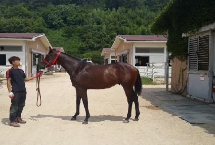 �½��屺 ����