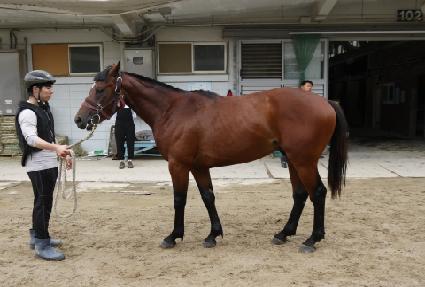 ī�Ͽ��� ����