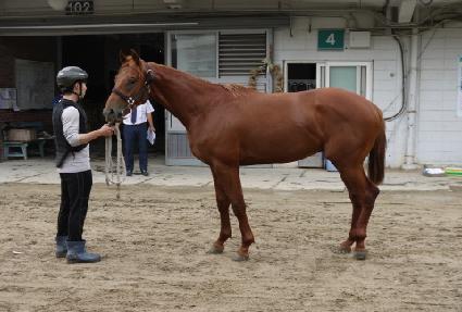 �ݸ�ŷ ����