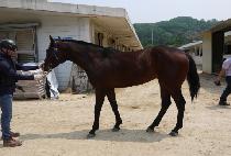 �̽���è�Ǿ� (MR.CHAMPION) ����