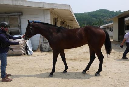 �̽���è�Ǿ� ����