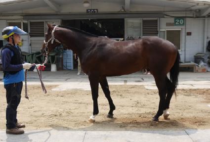 ���� ����