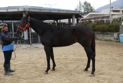 ��ٰ����� ����