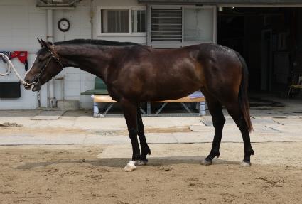 �����ֻ� ����