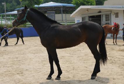 ��Ƽè�� ����