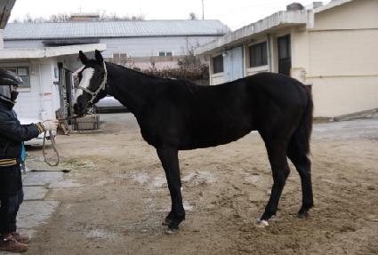 Ž��ŷ ����