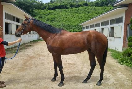 �����̸����� ����