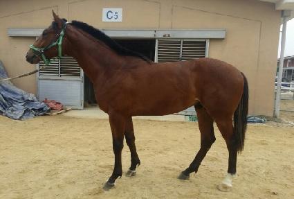 ��Ƽ������ ����