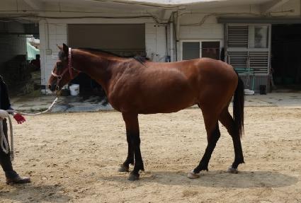 Ǯ��Ű ����