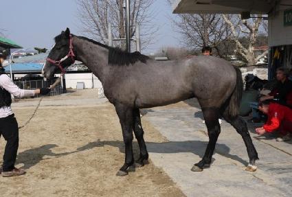 ����꼶 ����