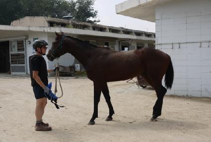 ����ĭ ����