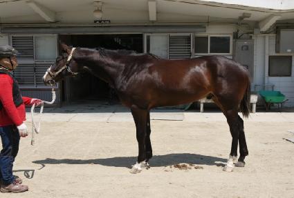 �Ƹ������� ����