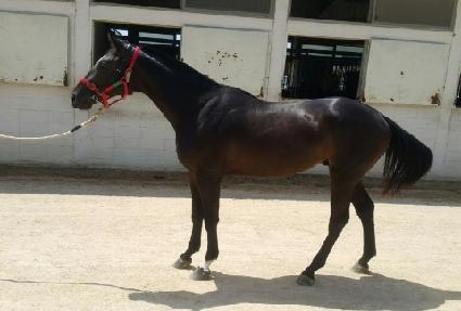 õ�ϸ��� ����