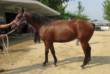 ����¯ ����