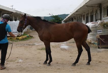 è������ ����