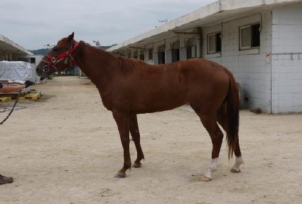 ���Ź��� ����