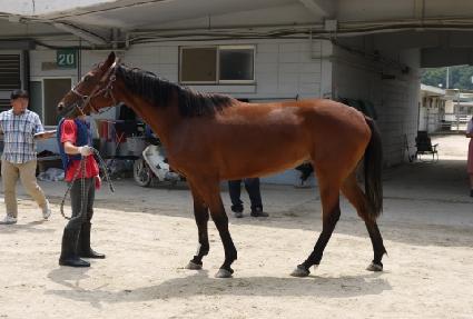 ���̺Һ� ����