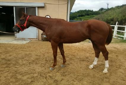 ��ġġ ����