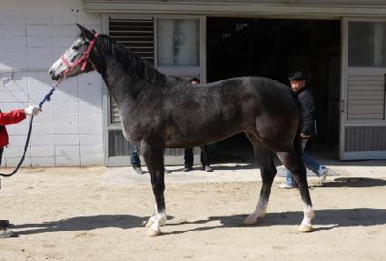 �׷��̻轺 ����