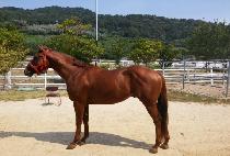 ���۸��� (JUNGLE MARINE) ����