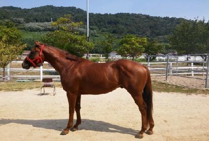 ���۸��� ����