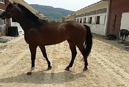 ����ü���� ����