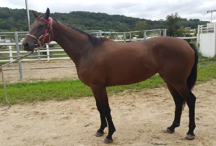 �������丮 ����