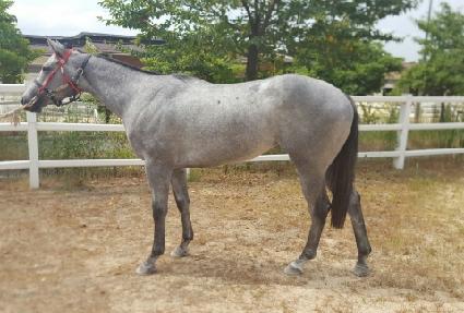 �������� ����