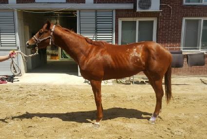 ŷ���̸� ����