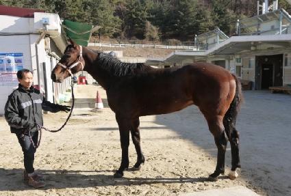 ��ٺҲ� ����