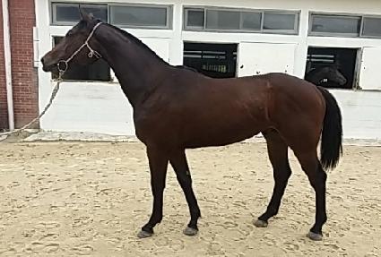 �ְ����� ����