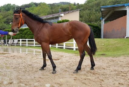 ����ÿ ����