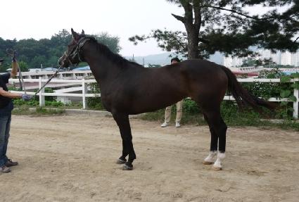 ���Ÿ����� ����